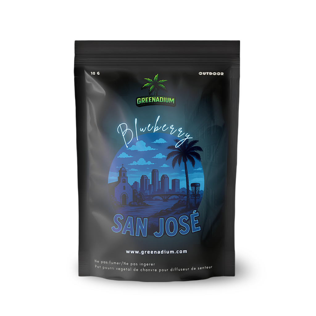 Blueberry - San josé