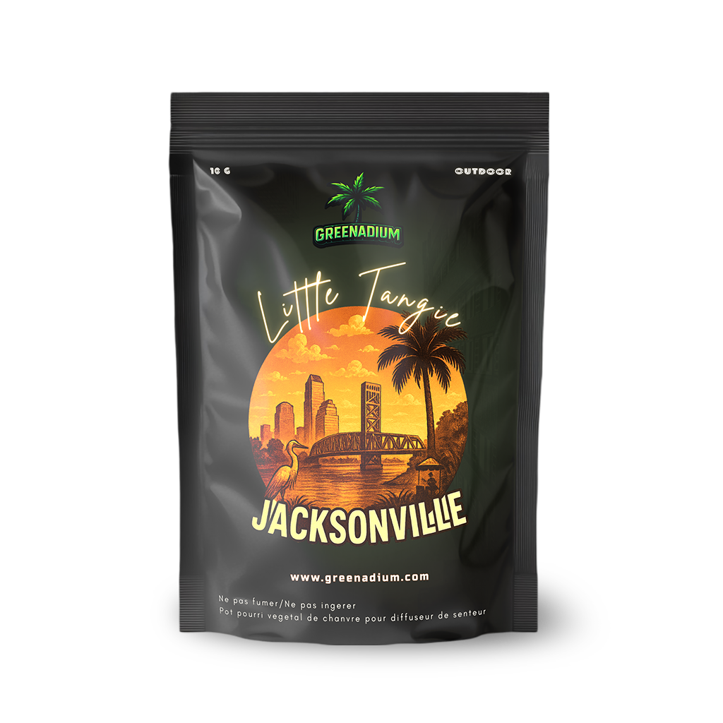 Little tangie - Jacksonville