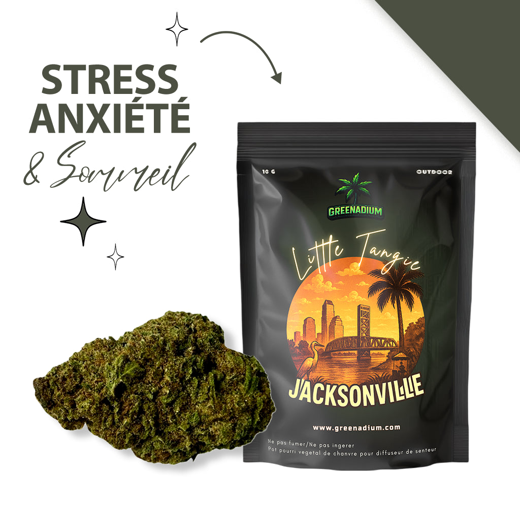 Little tangie - Jacksonville