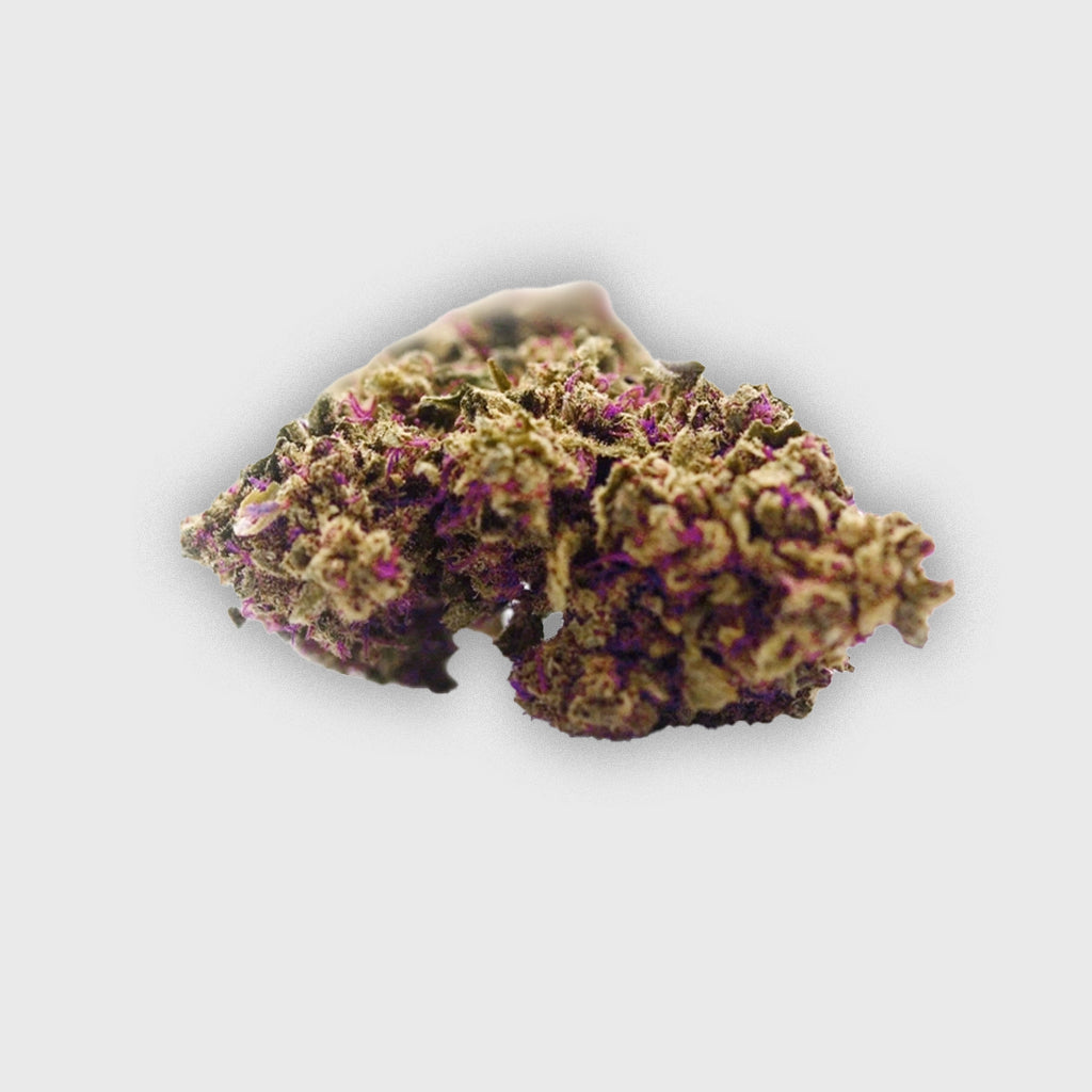 Purple - San diego