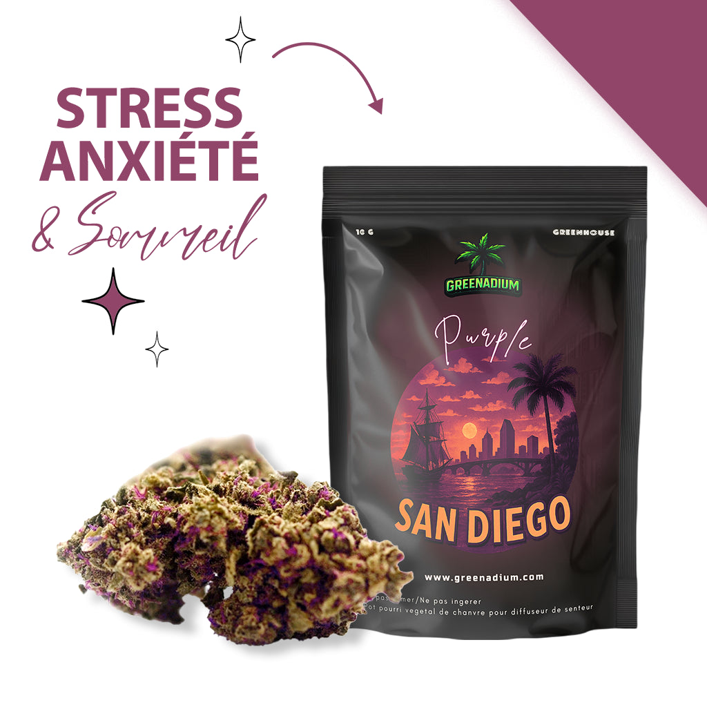 Purple - San diego