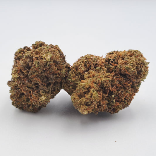 Shiva skunk - Dallas