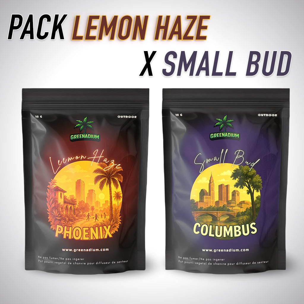 Pack Lemon Haze X Small bud