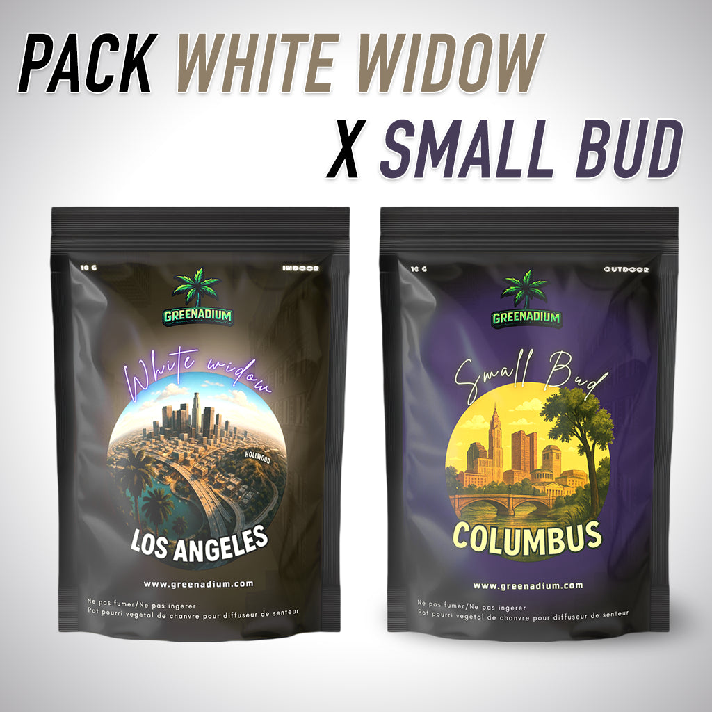 Pack White widow X Small bud