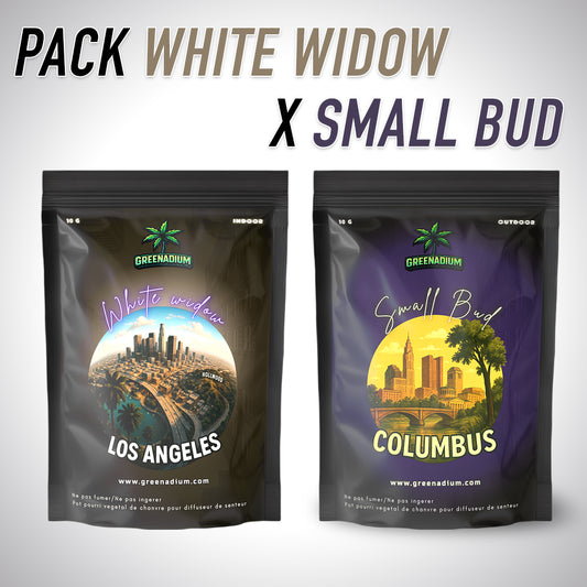 Pack White widow X Small bud