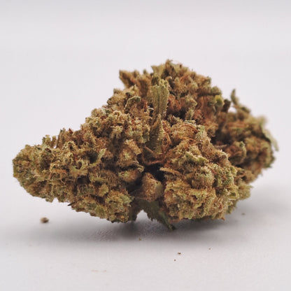 Blueberry - San josé