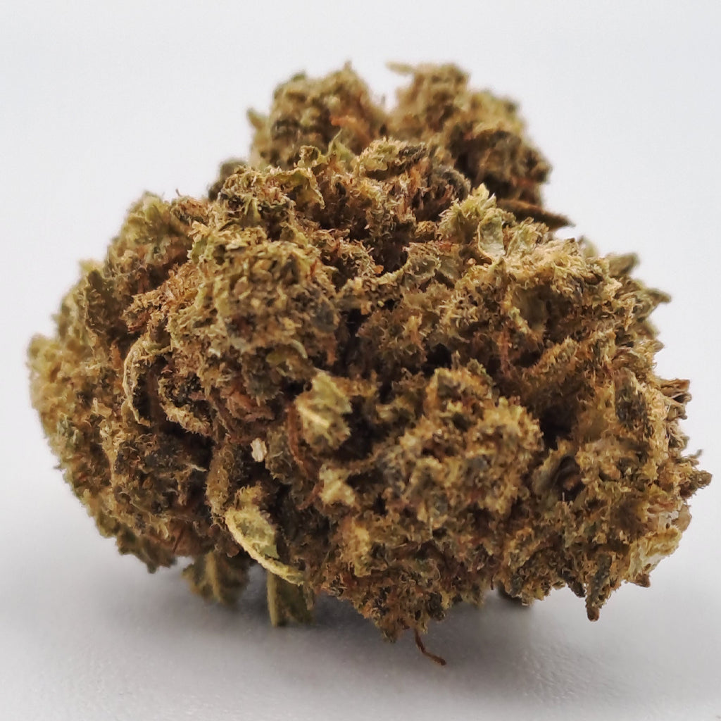 Lemon haze - Phoenix