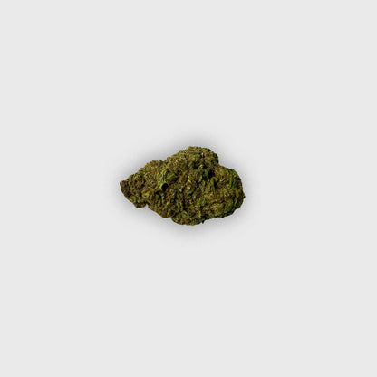 Little tangie - Jacksonville