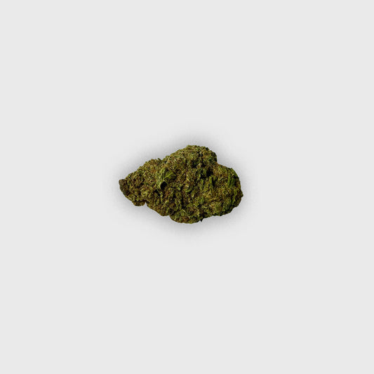 Little tangie - Jacksonville