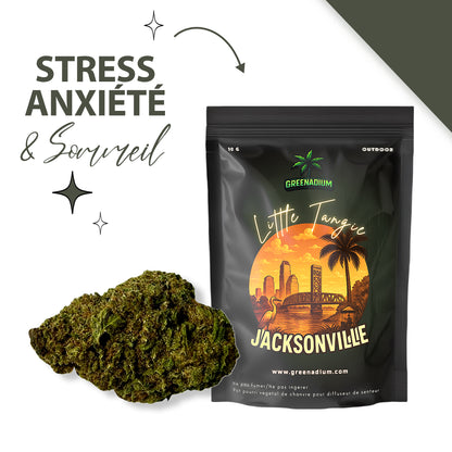 Little tangie - Jacksonville