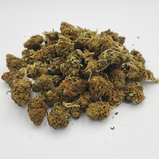 Middle tangie -  Austin