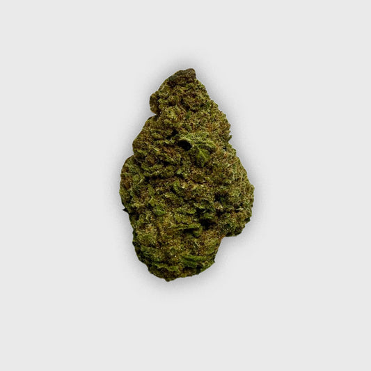 Medium tangie -  Austin