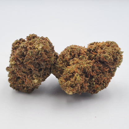 Shiva skunk - Dallas