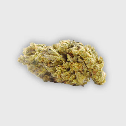 Shiva skunk - Dallas