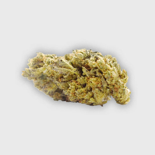 Shiva skunk - Dallas