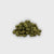 Small bud - Colombus