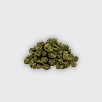 Small bud - Colombus