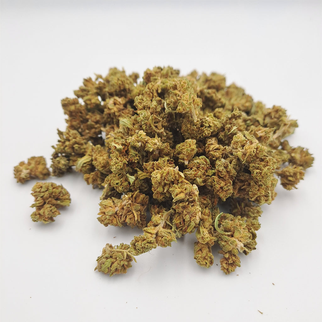 Small bud - Columbus