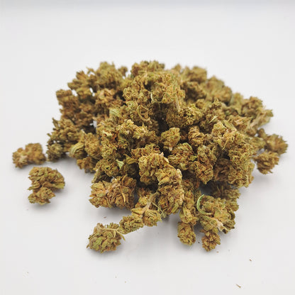 Small bud - Columbus