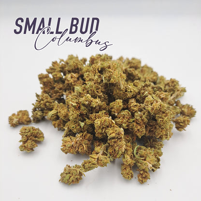 Pack White widow X Small bud